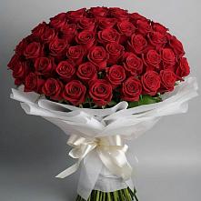 Букет 101 Красная роза Блэк Мэджик в Заюково