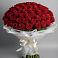 Букет 101 Красная роза Блэк Мэджик в Заюково