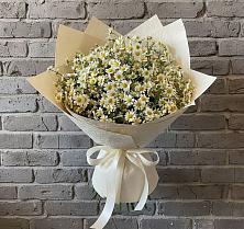 Букет цветов из:  Ромашки в Заюково