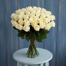 Букет 51 Белая роза Эдлесс Лав #REPLACE_PRED# Заюково