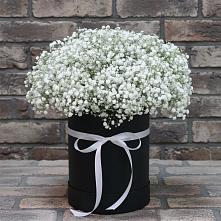 Цветочная композиция из Гипсофила в шляпной коробке в Заюково