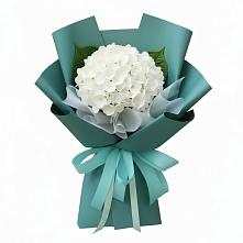 Букет цветов из:  Гортензия в Заюково